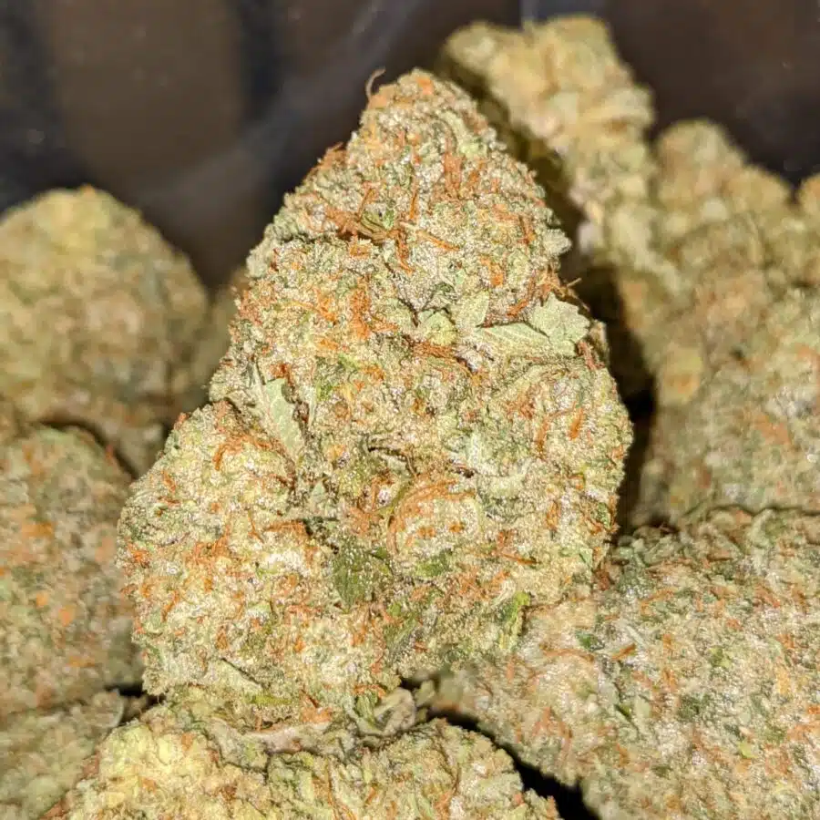 HIGH OCTANE 2 I $59 Oz - High Octane
