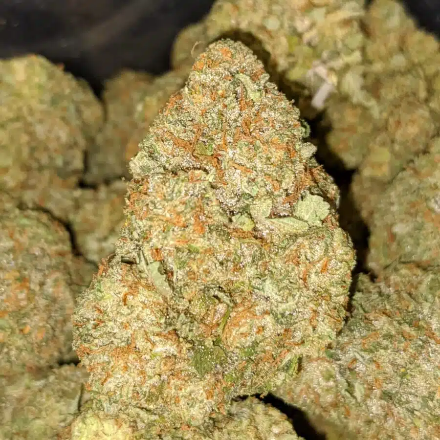HIGH OCTANE 3 I $59 Oz - High Octane