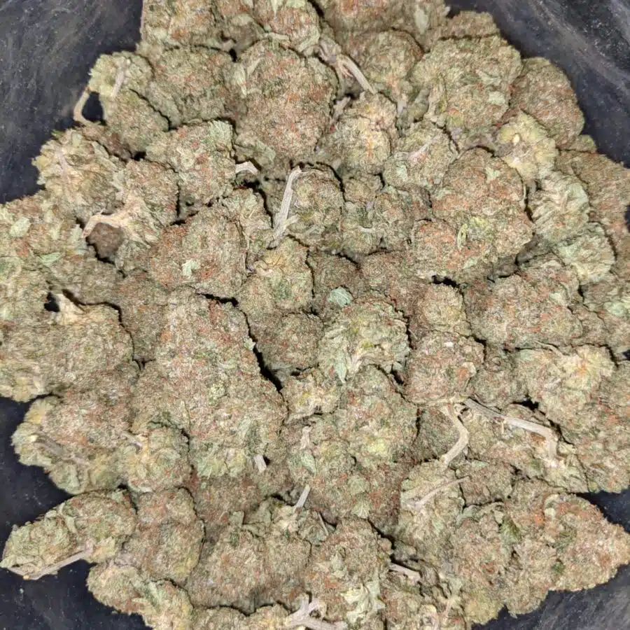 KING KUSH 2 I King's Kush - *Deal of the Day*