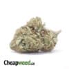 King's Kush - *Deal of the Day*