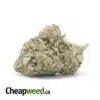 King's Kush - *Deal of the Day*