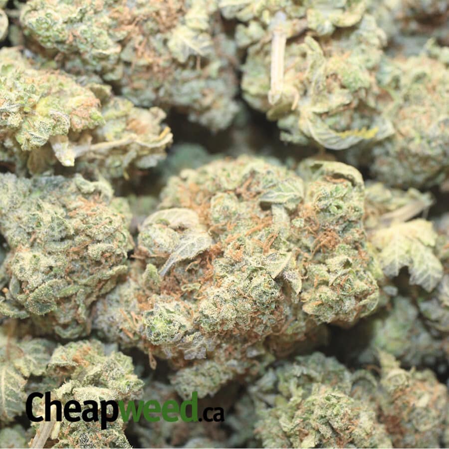 Lemonhead OG - Image 3
