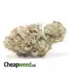 Lemonhead OG