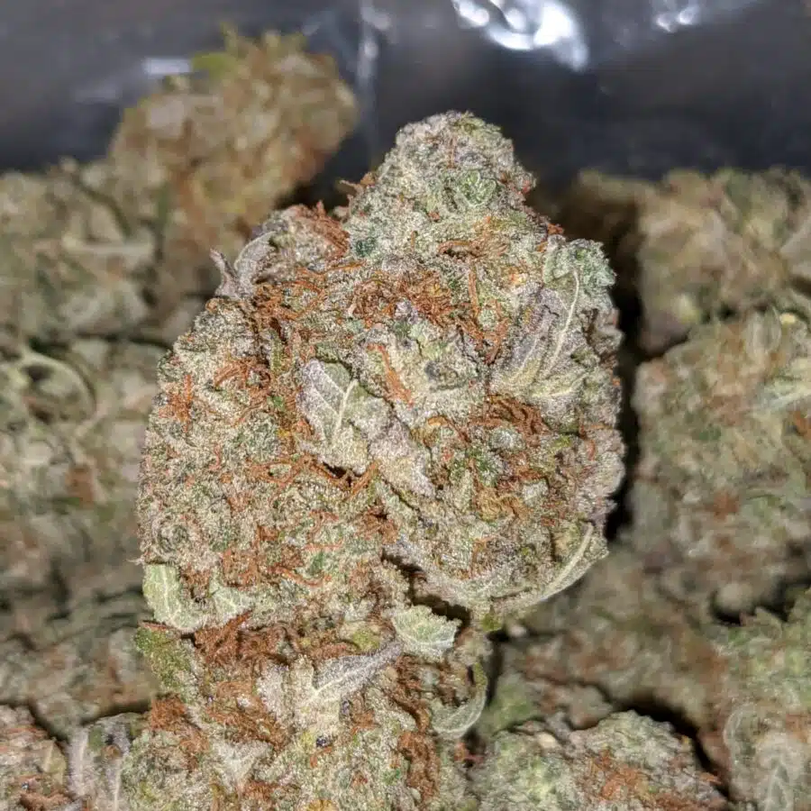 LEMONHEAD 3 I Lemonhead OG