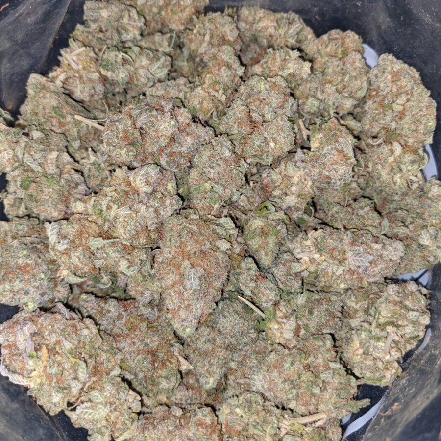 Lemonhead OG - Image 7