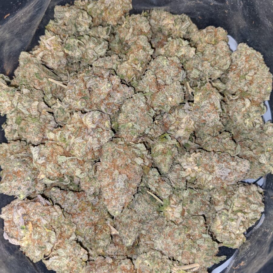 Lemonhead OG - Image 8