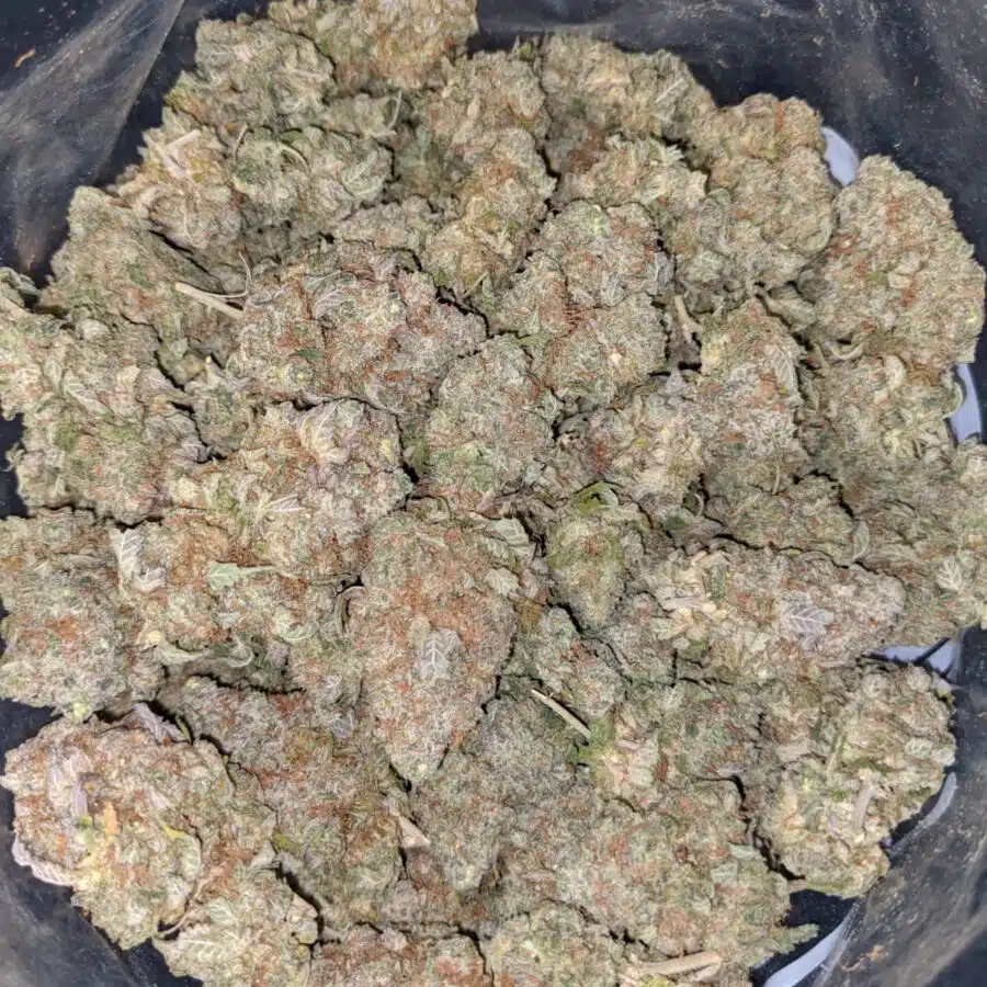 LEMONHEAD 5 I Lemonhead OG