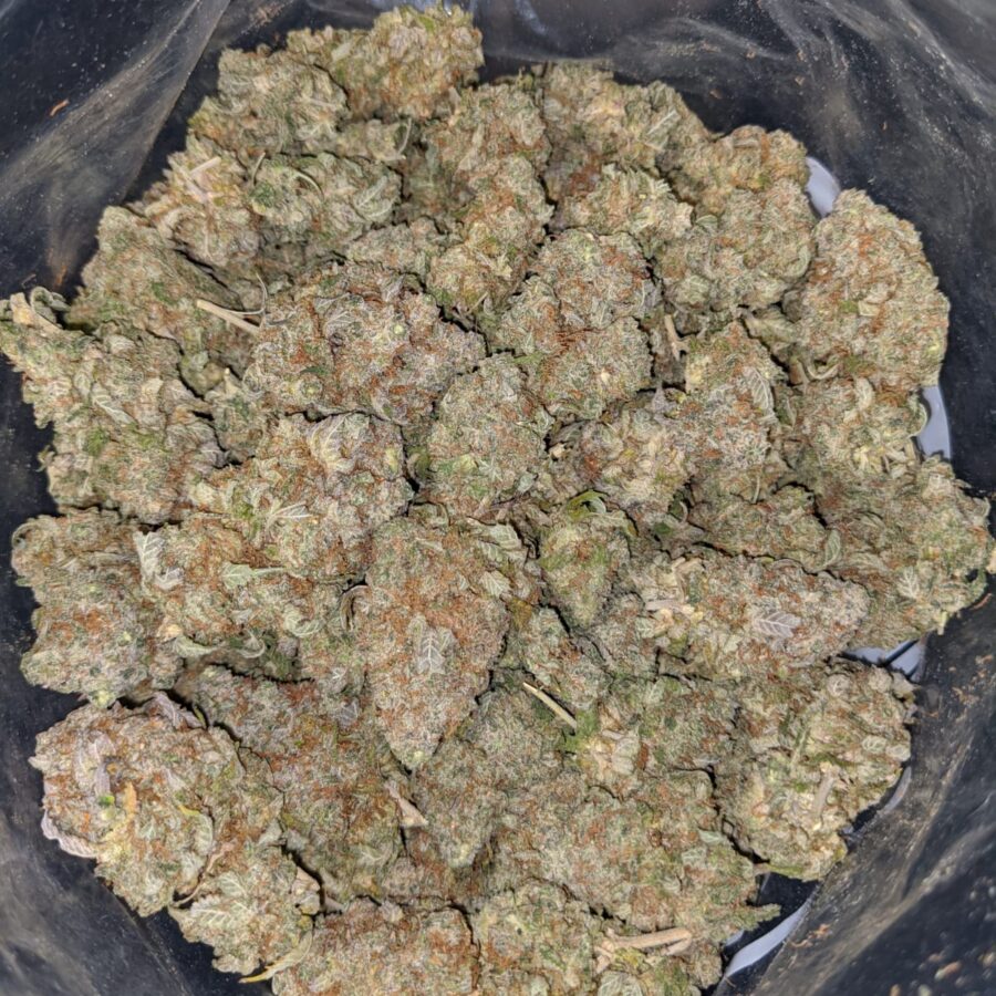 Lemonhead OG - Image 9