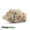 Pink Panther 27.69% THC