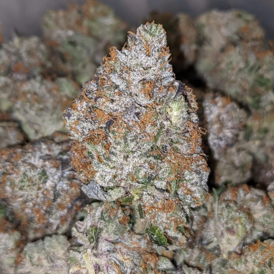 PINK PANTHER 27.69 THC 4 I Pink Panther 27.69% THC