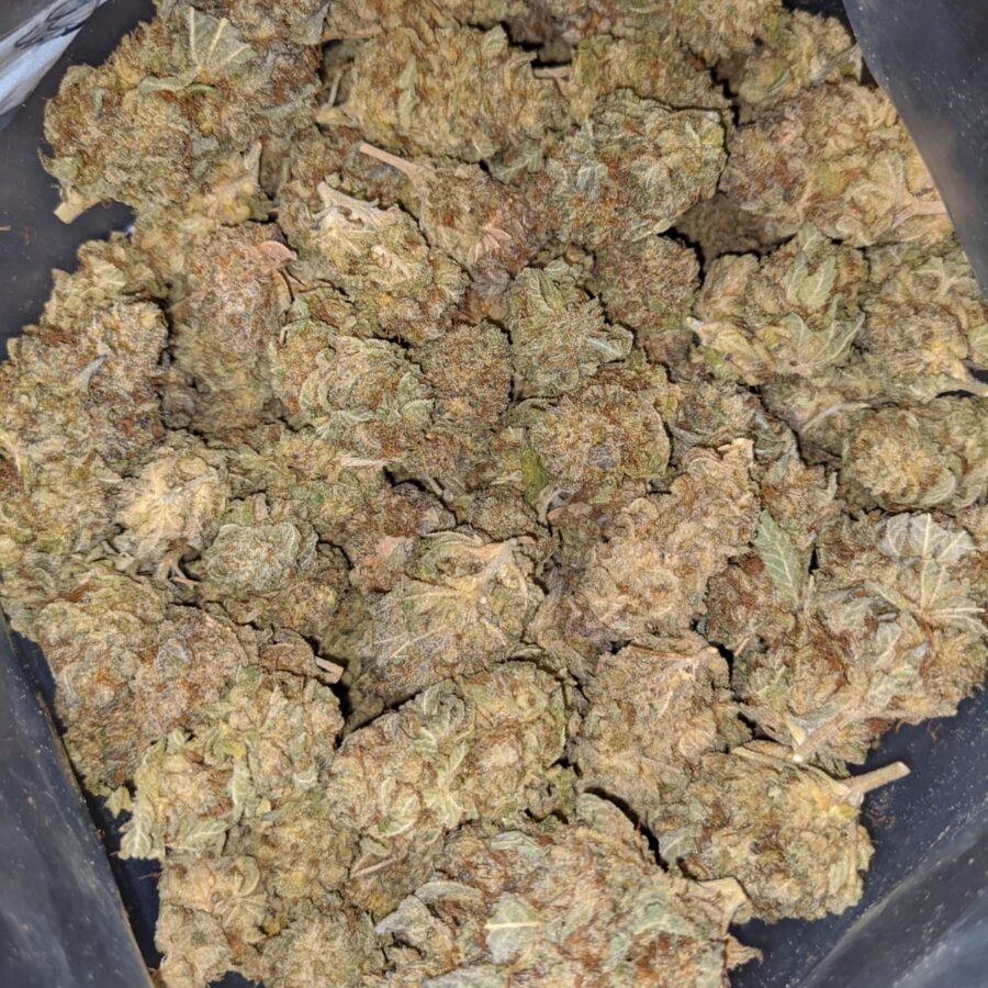 POISON OG 1 I Poison OG