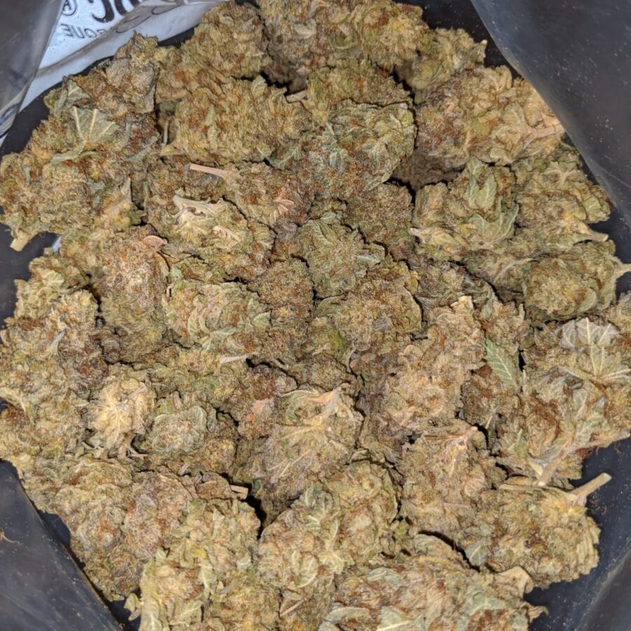 POISON OG 6 I Poison OG