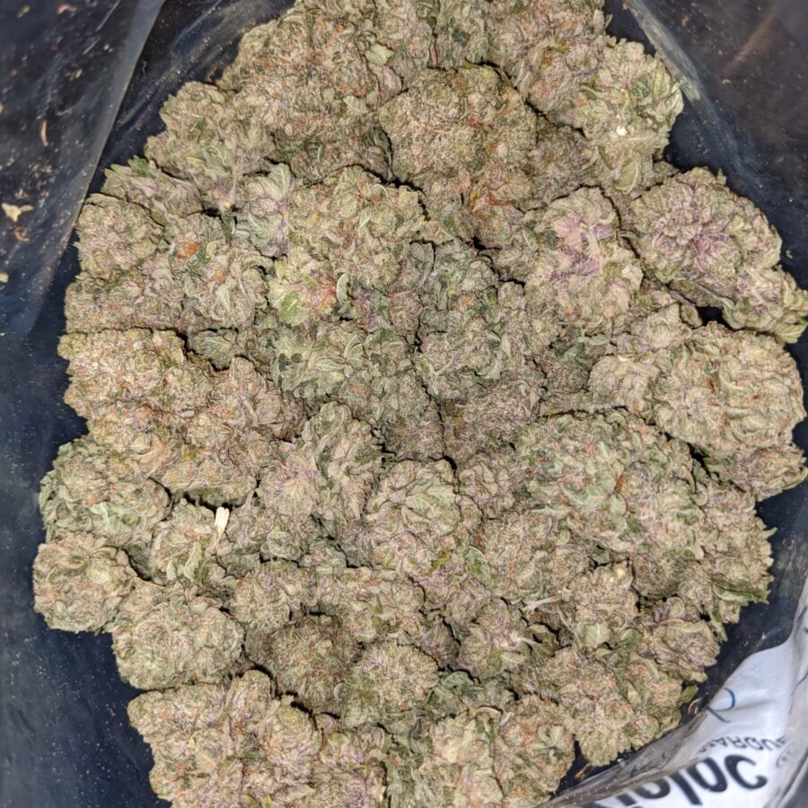 PURPLE CREAM DOD 3 I $59 Oz - Purple Cream