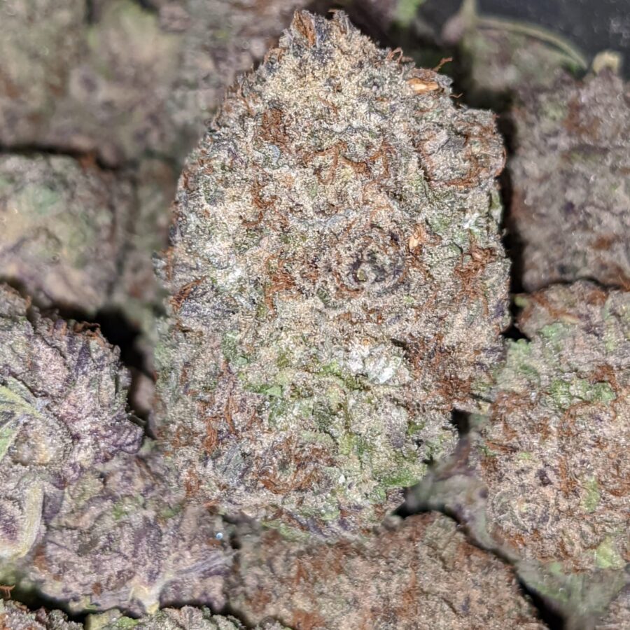 PURPLE DREAM 2 I $59 Oz - Purple Dream