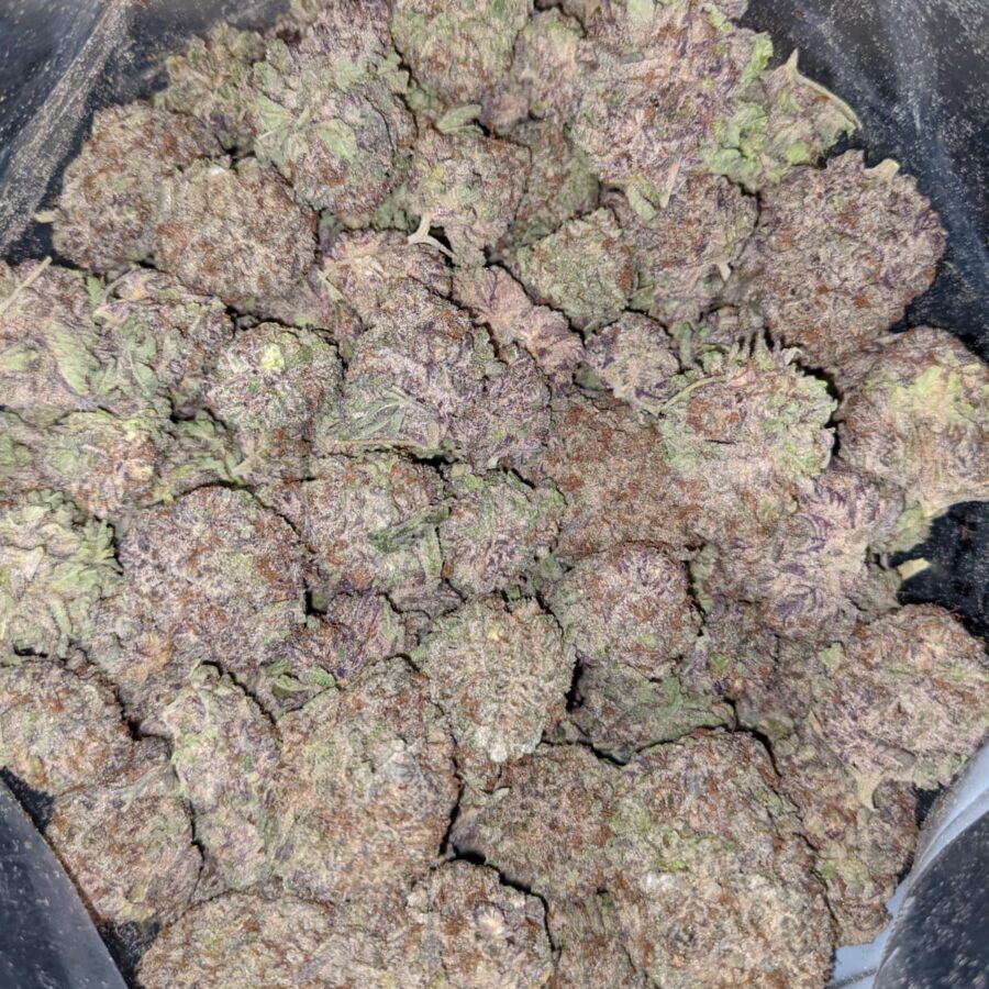 PURPLE DREAM 3 I $59 Oz - Purple Dream