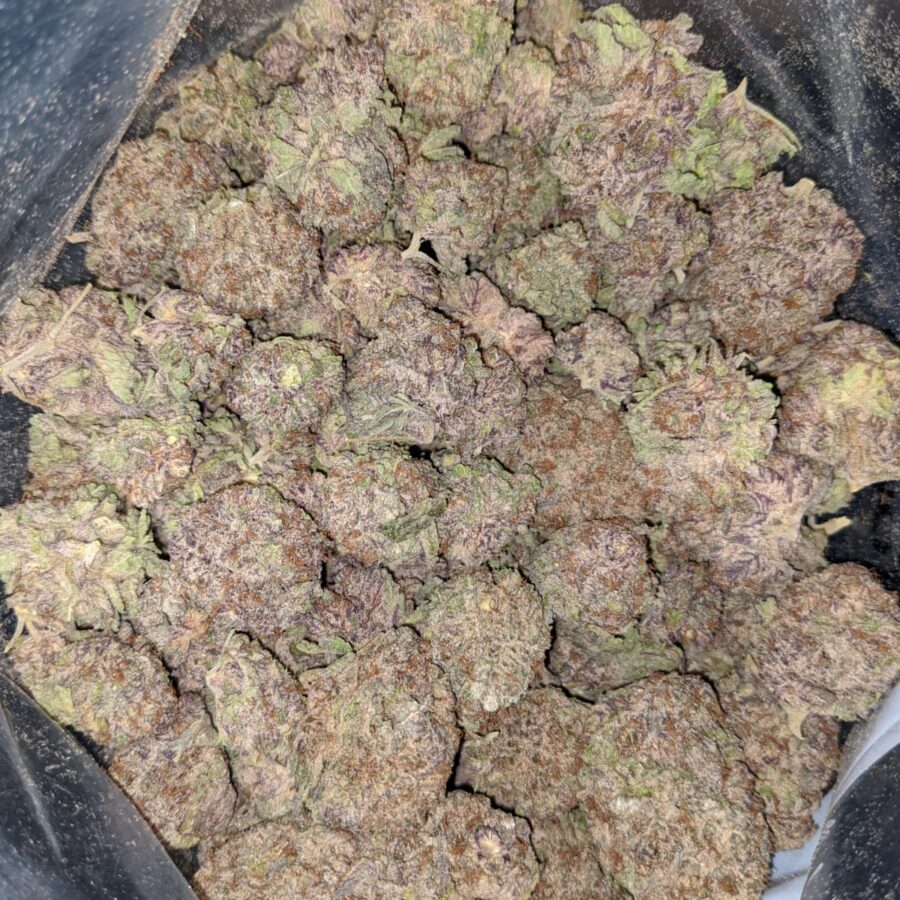 PURPLE DREAM 4 I $59 Oz - Purple Dream