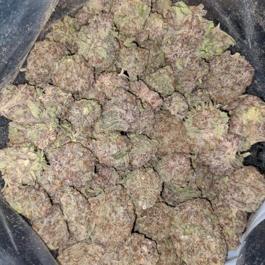 PURPLE DREAM 4 I $59 Oz - Purple Dream