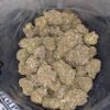Purple Kush - *Deal Of The Day*