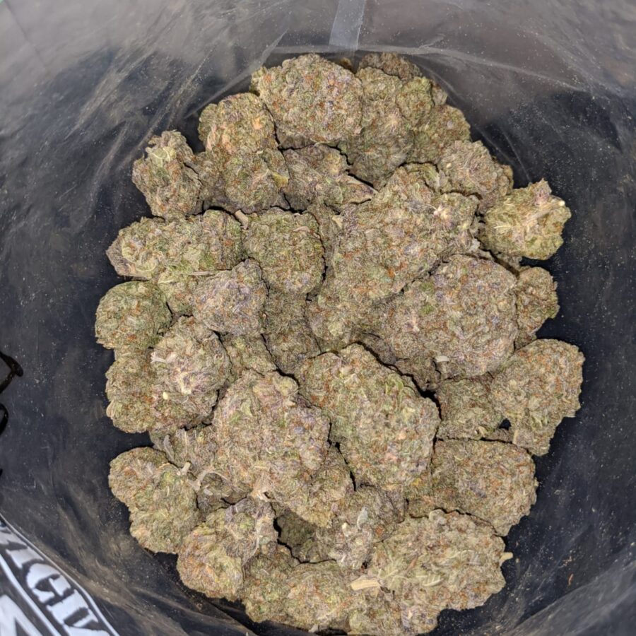 Purple Kush - *Deal Of The Day*