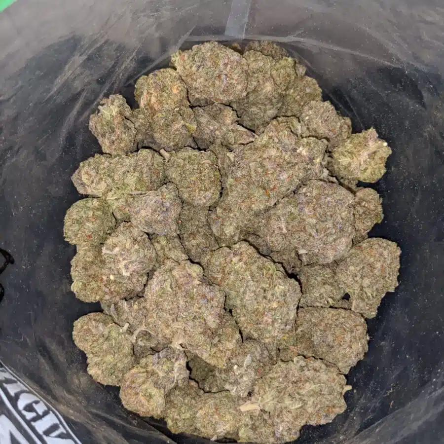 PURPLE KUSH DOD 4 I Purple Kush - *Deal Of The Day*