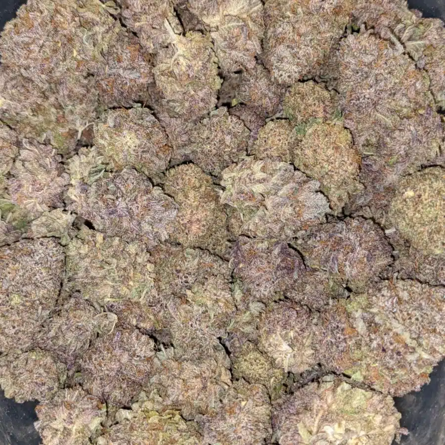 PURPLE PUNCH 2 I $89 Oz - Purple Punch