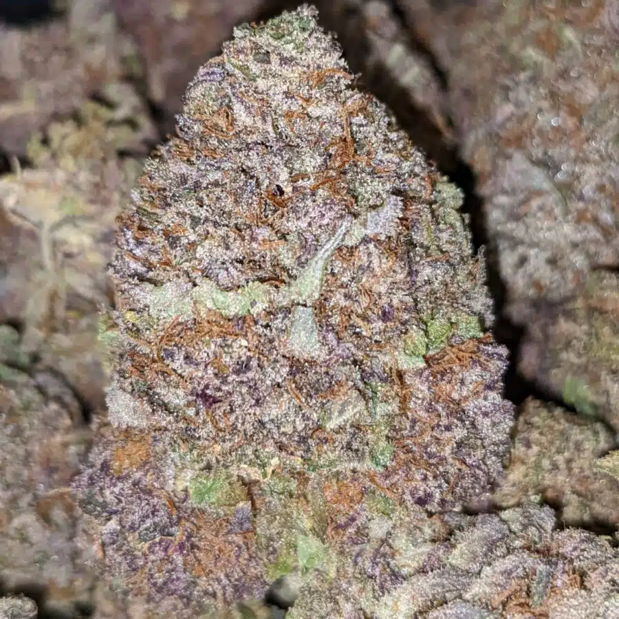 PURPLE PUNCH 5 I $89 Oz - Purple Punch