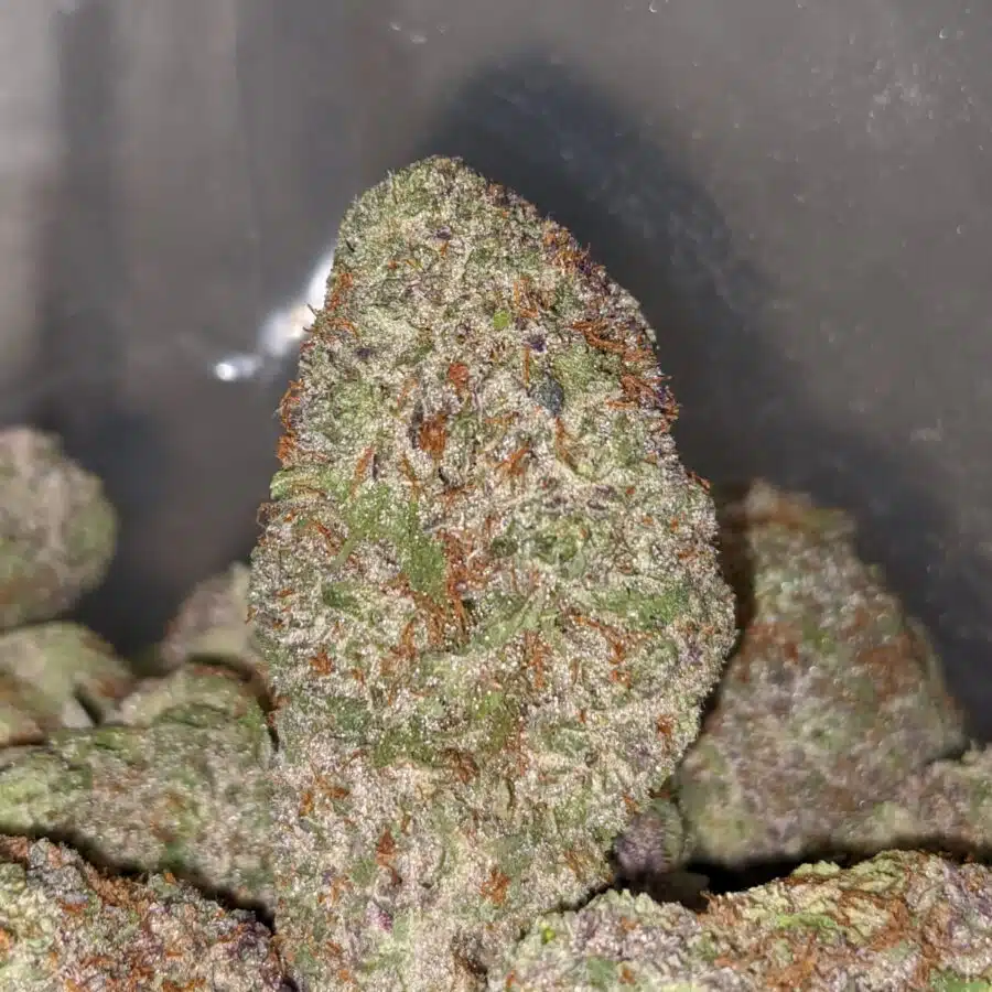Purple God 1 I $79 oz - Purple God