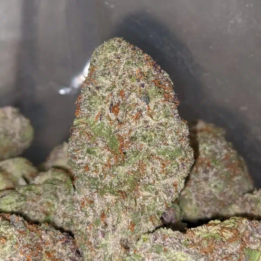 Purple God 2 I $79 oz - Purple God