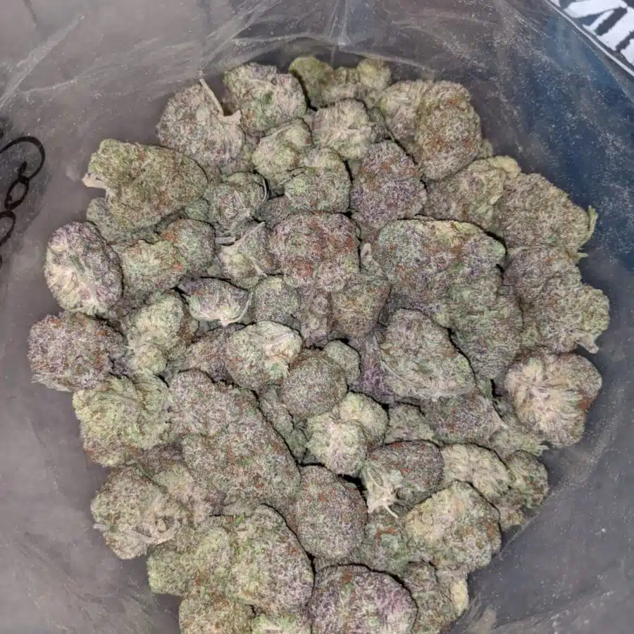 Purple God 4 I $79 oz - Purple God