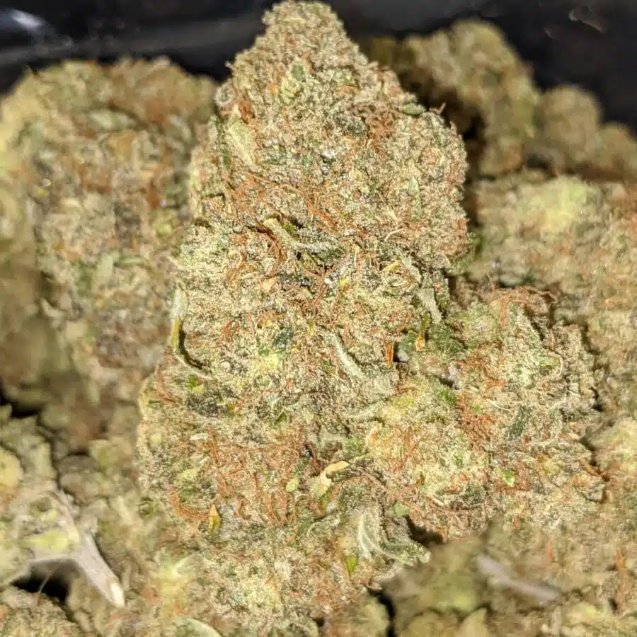 ROMULAN 2 2 I $99 Oz - Romulan #2