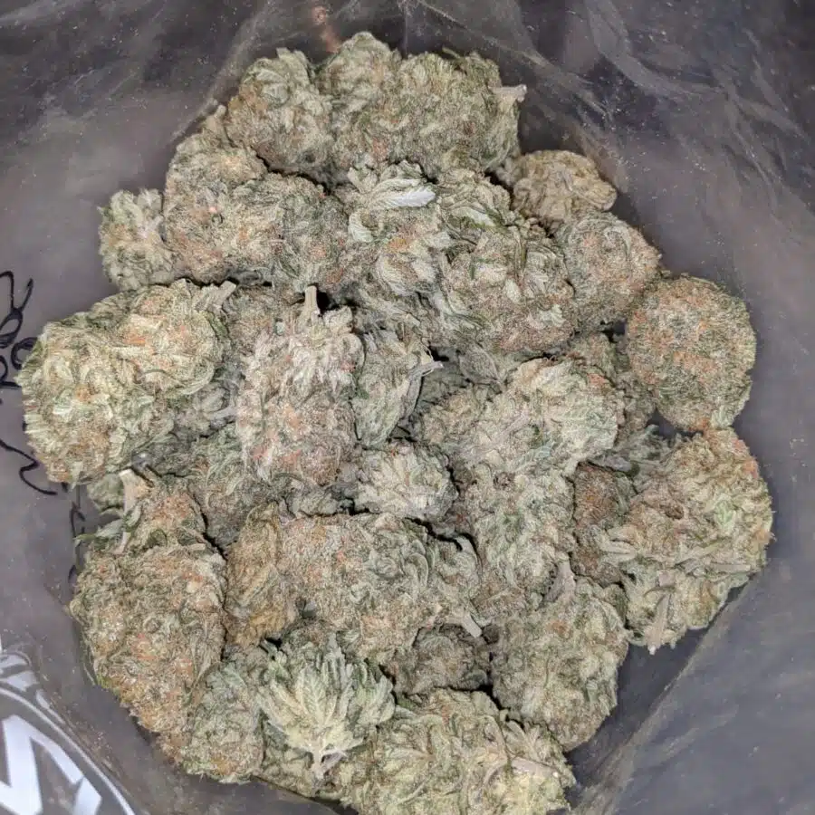 SOUR PATCH KID 2 I $109 Oz - Sour Patch Kids