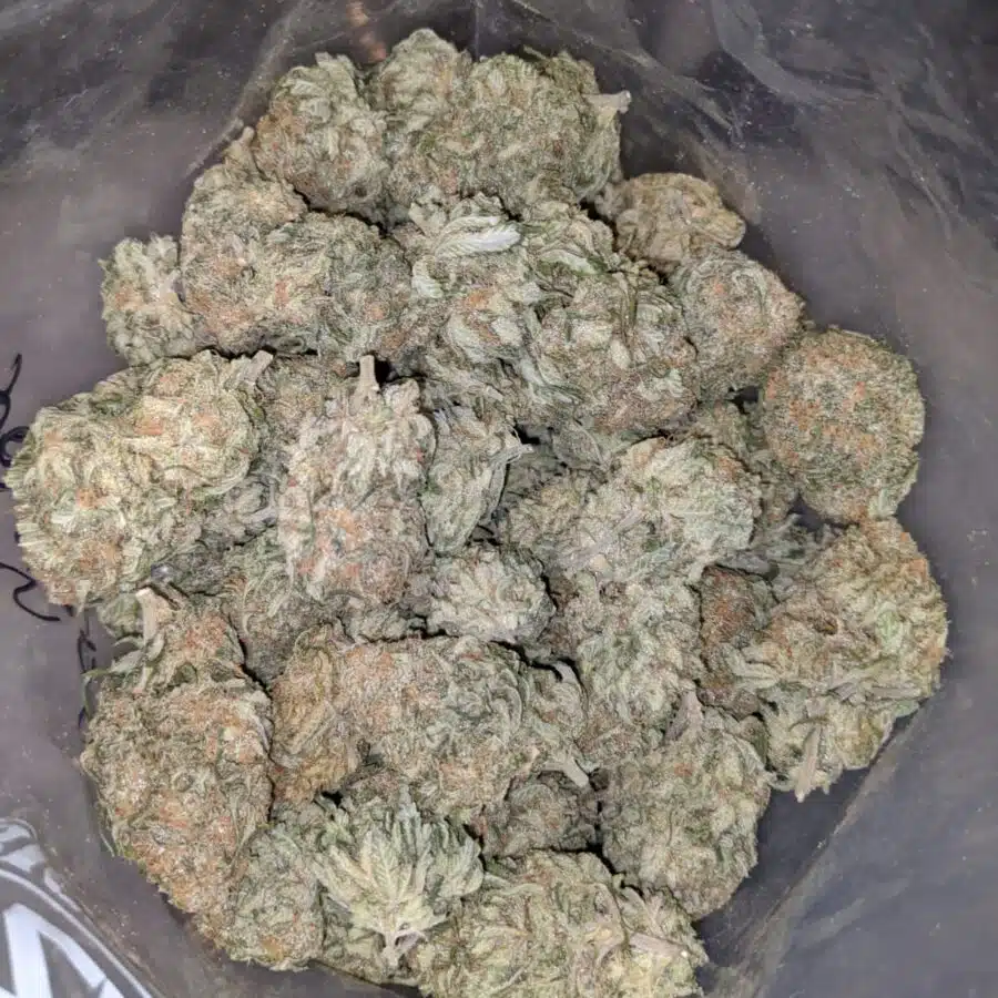 $109 Oz - Sour Patch Kids