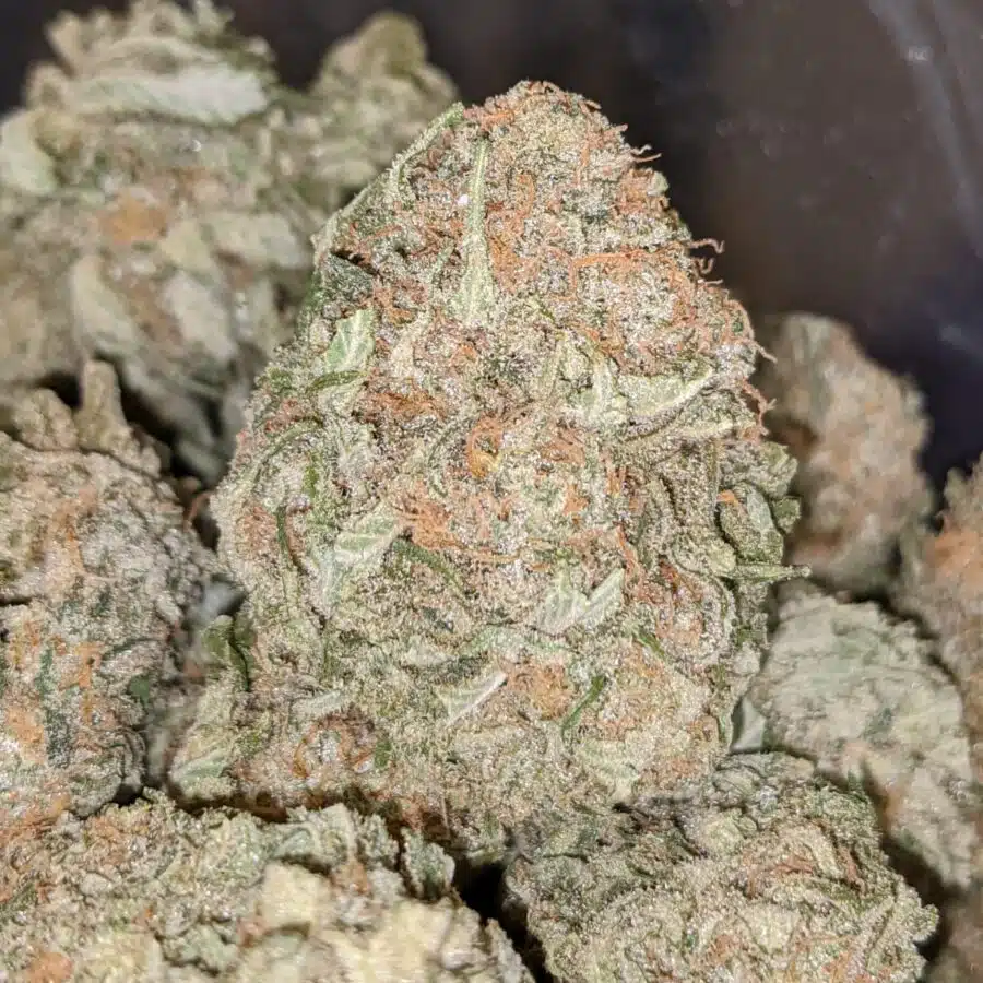 SOUR PATCH KID 4 I $109 Oz - Sour Patch Kids