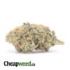 Sweet Cheese XMAS Special
