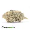Sweet Cheese XMAS Special