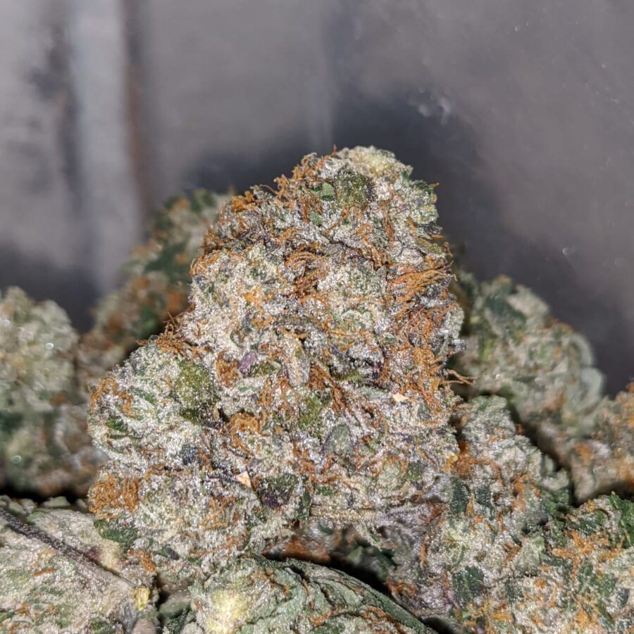 WHITE KUSH 2 1 I White Kush 25.22% THC