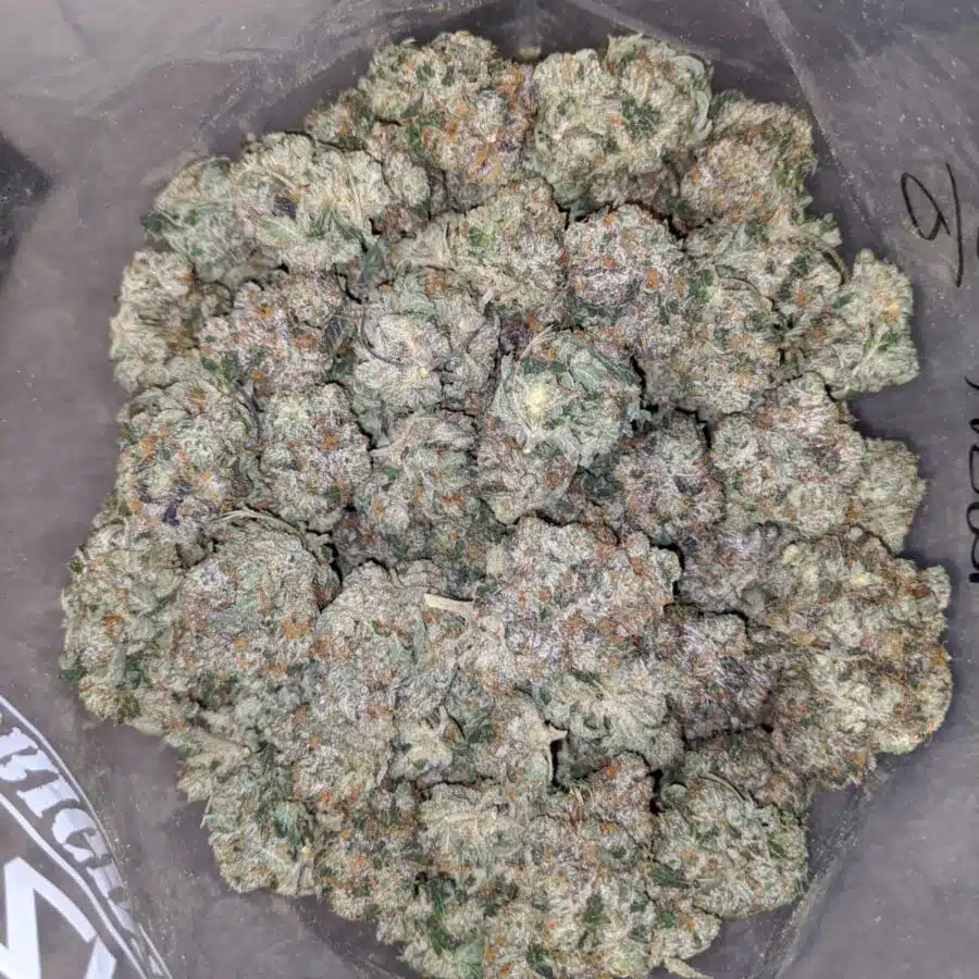 WHITE KUSH 3 1 I White Kush 25.22% THC