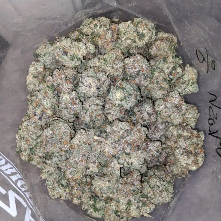 WHITE KUSH 4 1 I White Kush 25.22% THC