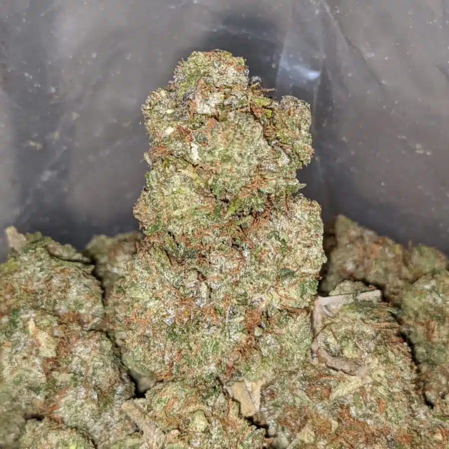 emmas godfather og 1 I Emma's Godfather OG