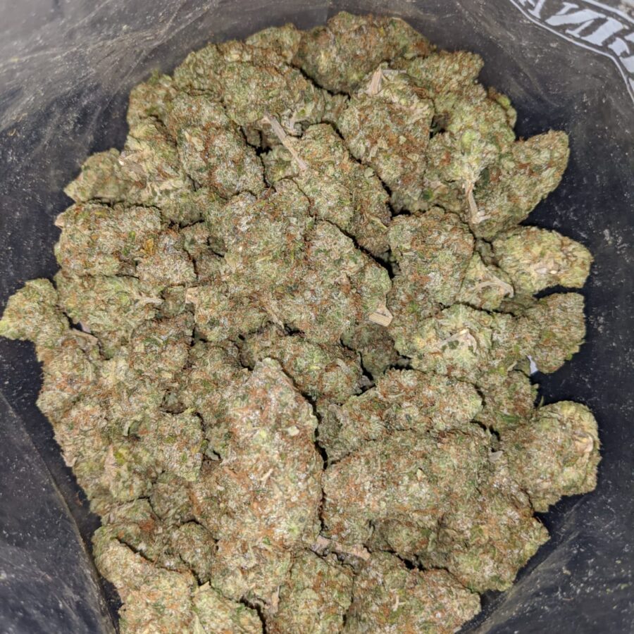 emmas godfather og 3 I Emma's Godfather OG
