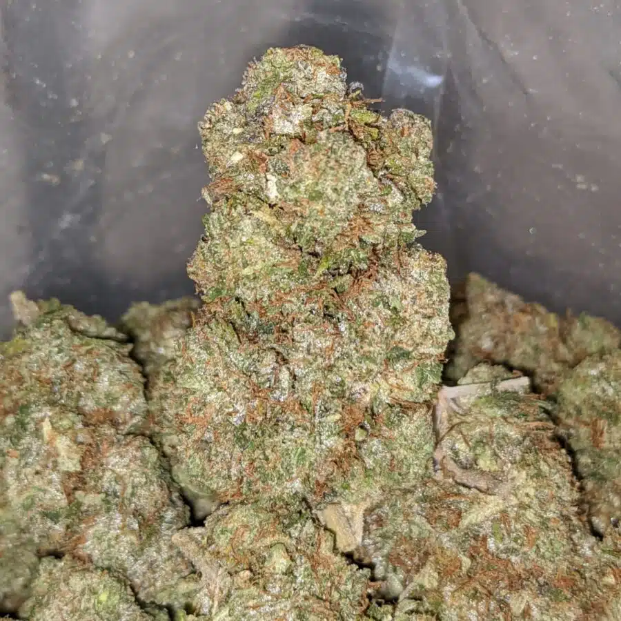 emmas godfather og 4 I Emma's Godfather OG