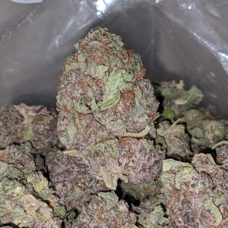 purple dream dod 1 I Purple Dream - *Deal Of The Day*