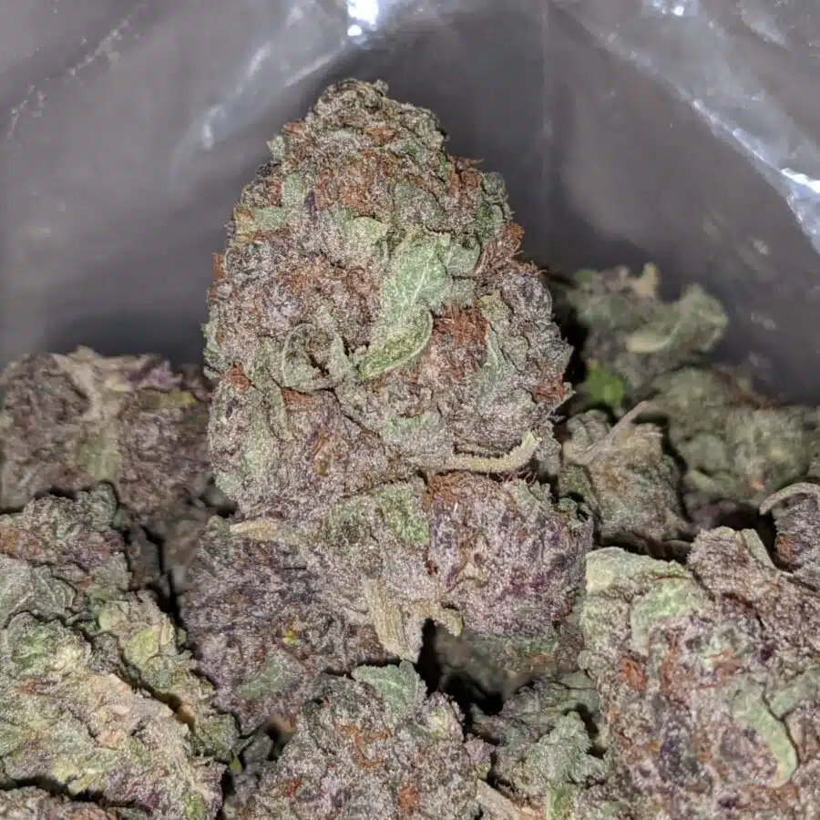 purple dream dod 2 I Purple Dream - *Deal Of The Day*