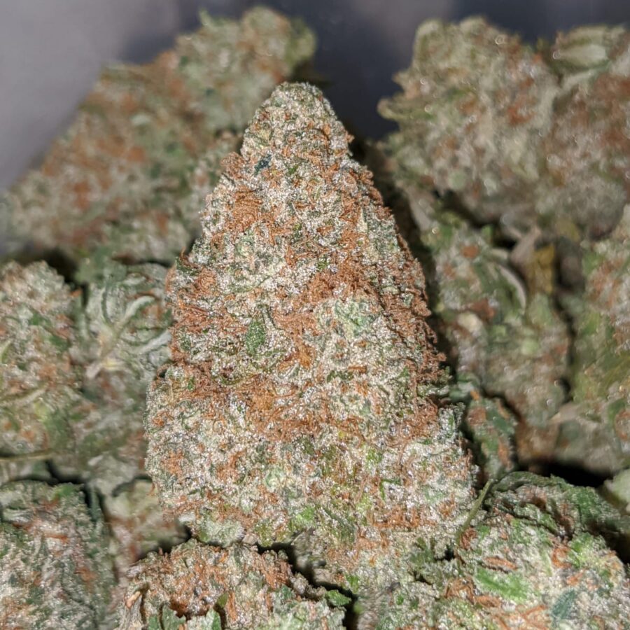 snowcap dod 1 I Snowcap - *Deal Of The Day*