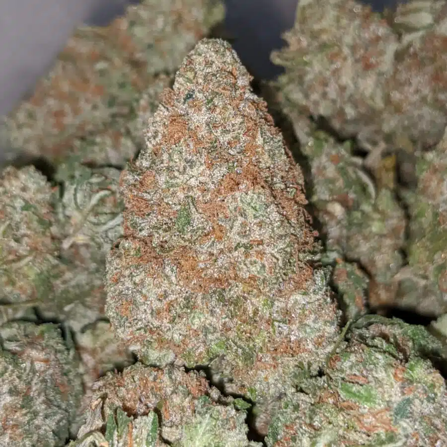 snowcap dod 2 I Snowcap - *Deal Of The Day*