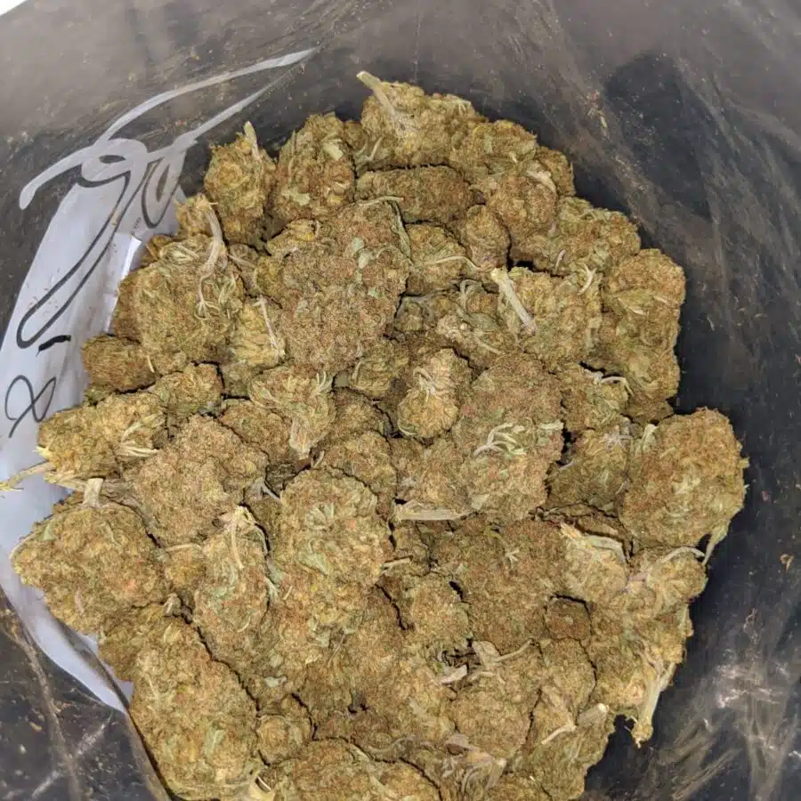 white poison bulk special 3 I White Poison Bulk Special