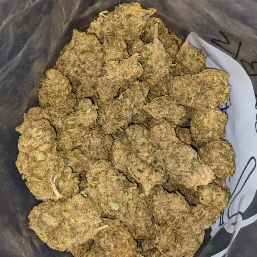 APPLE SOUR BS 3 I Apple Sour Bulk Special