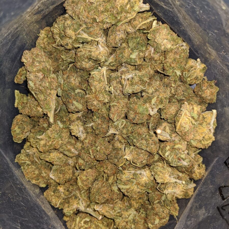 BLACK DIESEL 1 I Black Diesel Bulk Special