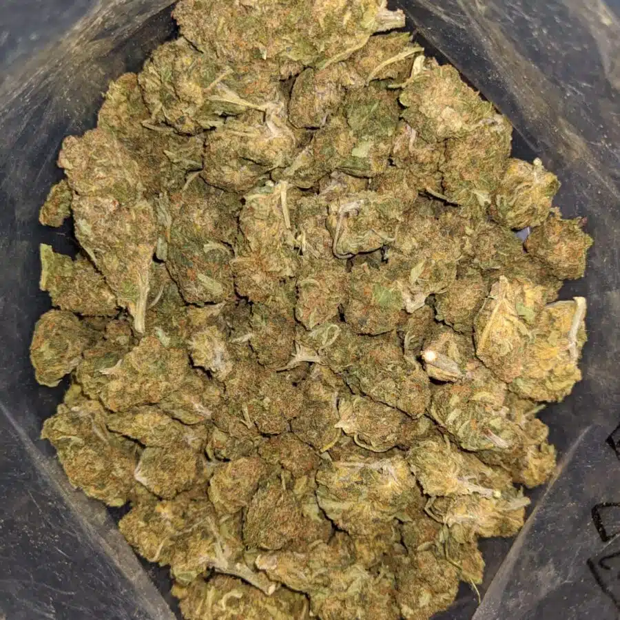 BLACK DIESEL 1 I Black Diesel Bulk Special