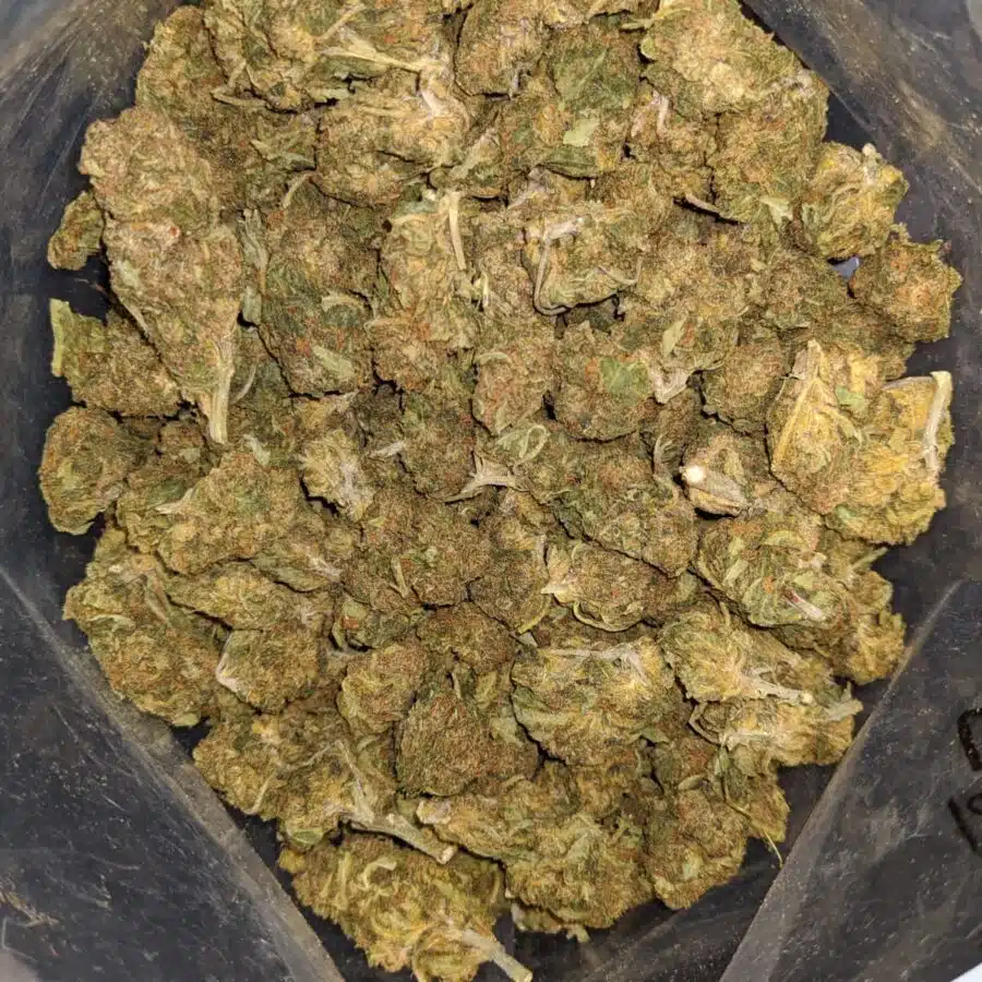 BLACK DIESEL 4 I Black Diesel Bulk Special